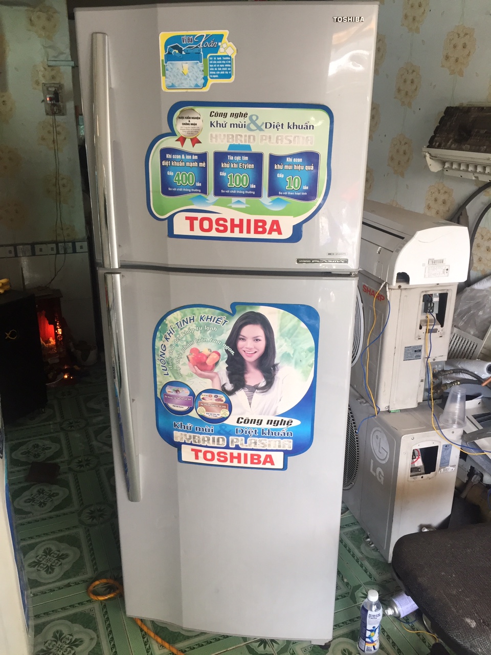 Tủ lạnh Mini Electrolux 90 lít EUM0900SA  Điện máy Đông SaPa